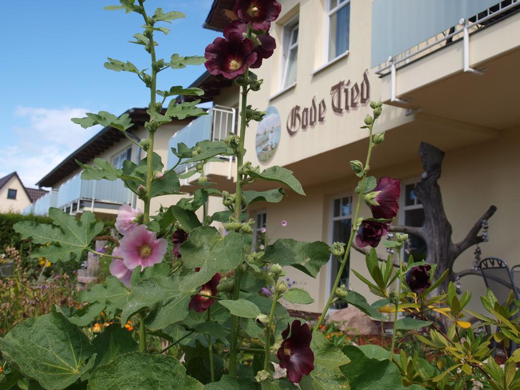 Hotel Gode Tied Ostseeheilbad Ostseeheilbad Zingst Exterior foto
